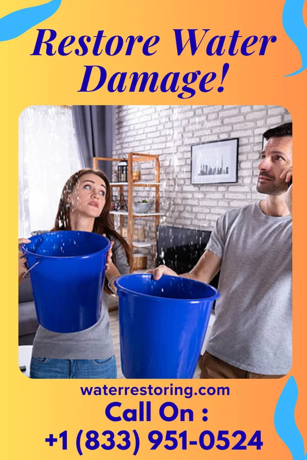 water restoration Citywide Sewage Cleanup Masters Whitfield