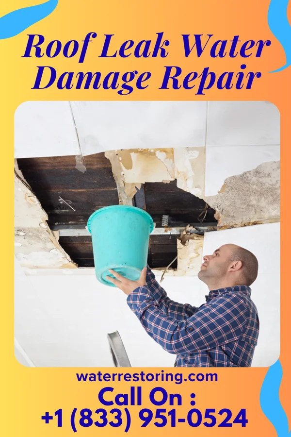 Roof Leak Water Damage Repair in Whitfield, PA