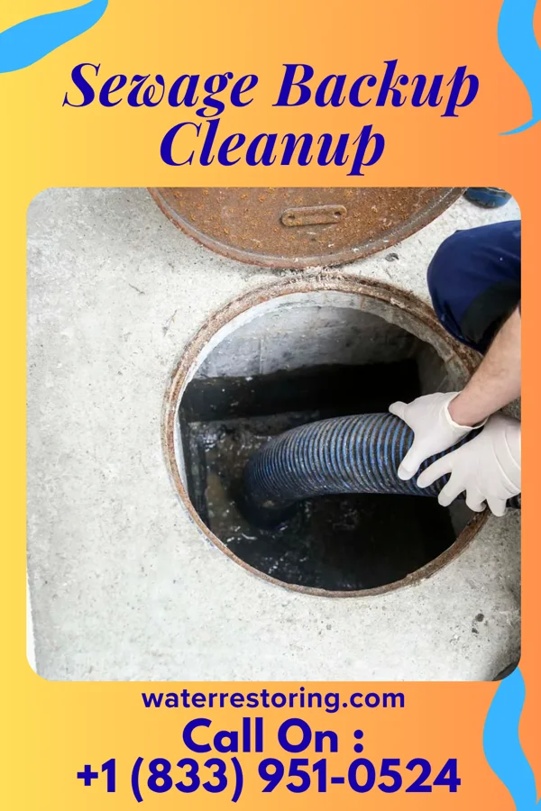 Sewage Backup Cleanup in Whitfield, PA