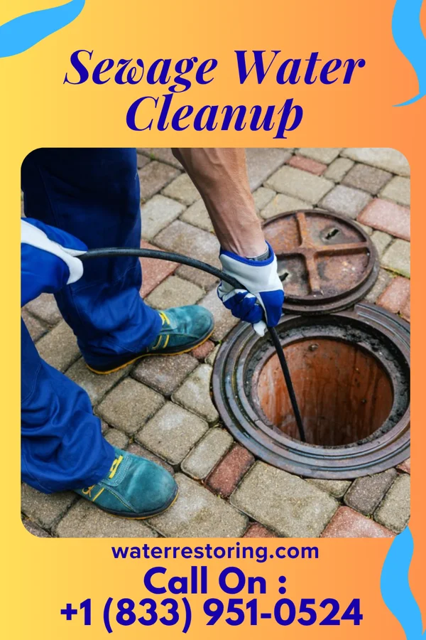 Sewage Water Cleanup in Whitfield, PA